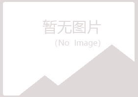 桃山区夏青计算机有限公司